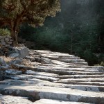 Der Paulusweg verl&auml;uft auf historischen Pfaden. | Foto: Kate Clow