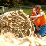 Schweizer Wolle - Swisswool