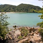 Von der Bark Bay startet unsere Wanderung auf einem Abschnitt des Abel Tasman Tracks. | Foto: K. Schuchardt