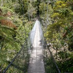 Abel Tasman Coast Track: Sp&auml;testens bei der &Uuml;berquerung der wackeligen H&auml;ngebr&uuml;cke ist das Abenteuer-Feeling perfekt. | K. Schuchardt