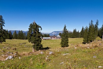 Erst kurbeln, dann Almgenuss: Die mittelschwere Mountainbike-Tour zur Kühroint-Alm ist schon ab Mai möglich. | Foto: Berchtesgadener Land Tourismus 