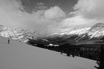 Impression: Bow Valley, Kanada. | Foto: Basti Fiedler