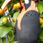 Die Toebox ist eher schmal geschnitten. | Foto: Bene Hirschmann