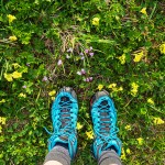 Der Salewa Rapace macht auf jedem Untergrund Spaß! | Foto: Vreni Wingelmayr