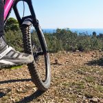 Für All Mountain pefekt, für Downhill sollte man einen noch stabileren Schuh wählen. | Foto: Sven Papendick