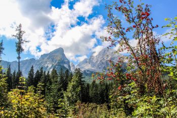 Der Watzmann ragt stolz am Westufer des Königssees auf. | Foto: Steinacher/Werntgen