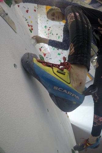 Auf Reibungstritten fühlt er sich am meisten wohl. | Foto: Chiara Hanke