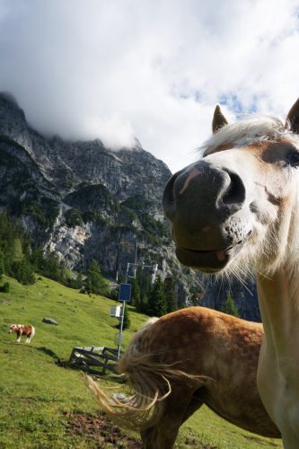 Freundliche Begr&uuml;&szlig;ung im Puittal. | Foto: Arnold Zimprich