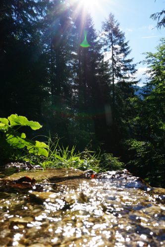 Der Aufstieg aus dem Leutasch Richtung S&ouml;llerpass gestaltet sich abwechslungsreich. | Foto: Arnold Zimprich