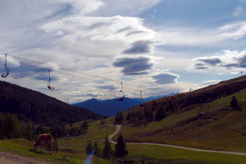 F&ouml;hnlinsen &uuml;ber dem Fernwanderweg E5. | Foto: Sabine Dettling