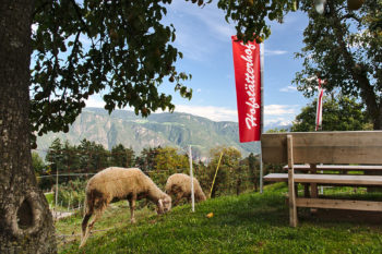 Idylle am Buschenschank Hofts&auml;tterhof in Naraun. | Foto: Sabine Dettling