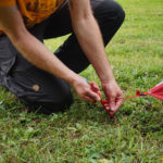 Die Heringe sollten in einem Winkel von 45 Grad im Boden stecken, damit sie das Zelt auch bei Wind immer an Ort und Stelle halten. | Foto: Flo Glott