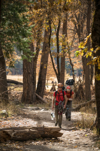 Zwei Personen wandern im Yosemite Nationalpark.