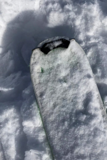 Die Spitze eines Ski mit fixiertem Skifell.