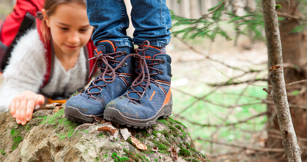 Lowa gtx ledro mid Clearance