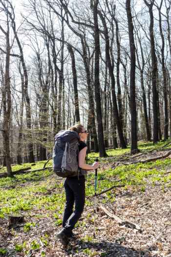 Wanderin in fr&uuml;jhlingshaftem Wald von hinten