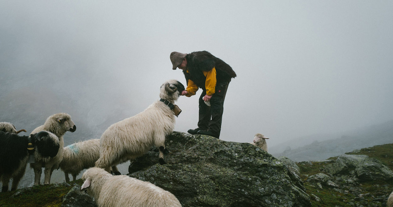 Protact2024 | Foto: Ortovox