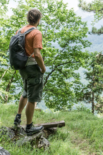 Wanderer steht mit Rücken zur Kamera und blickt in die Ferne mit bäumen