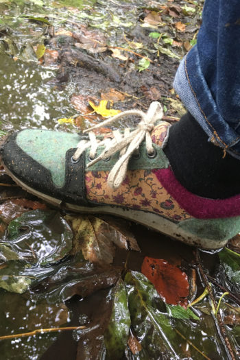 Doghammer Cork Traveller Test auf matschigem Weg