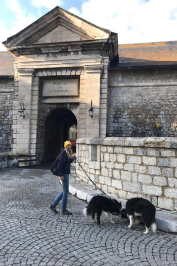 Doghammer Cork Traveller Test in der Stadt