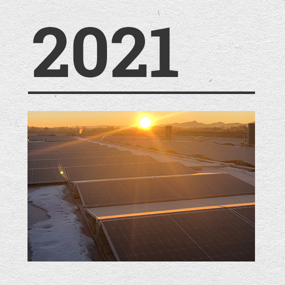 Ziele 2021